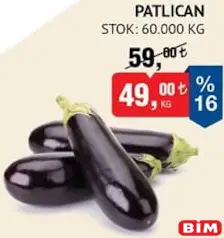 PATLICAN KG